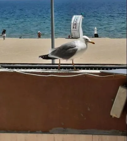 Lägenhet Sunny Beach *